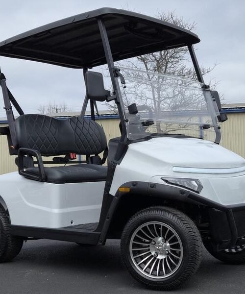2026 Denago EV Scout 2