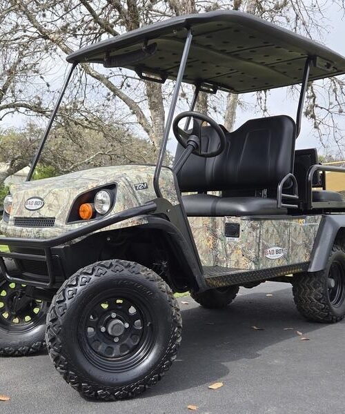 2016 Bad Boy HD Electric