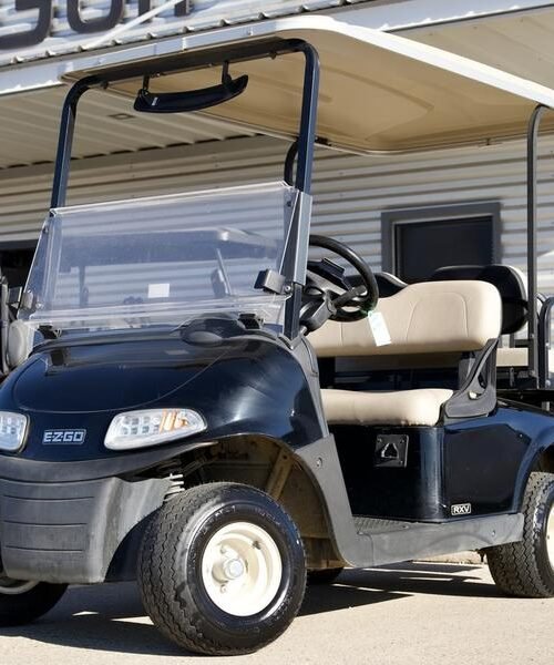 2019 E-Z-GO Fleet RXV