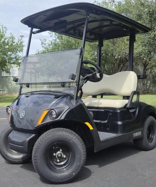 2024 Yamaha Drive 2 48V