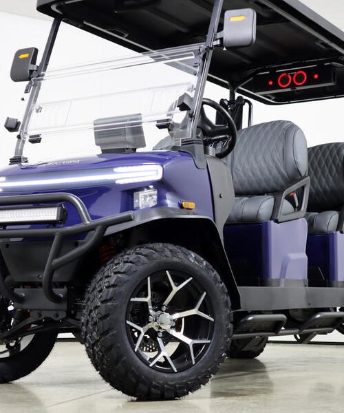 2026 Denago EV Rover XL6